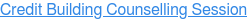Credit Building Counselling Session
